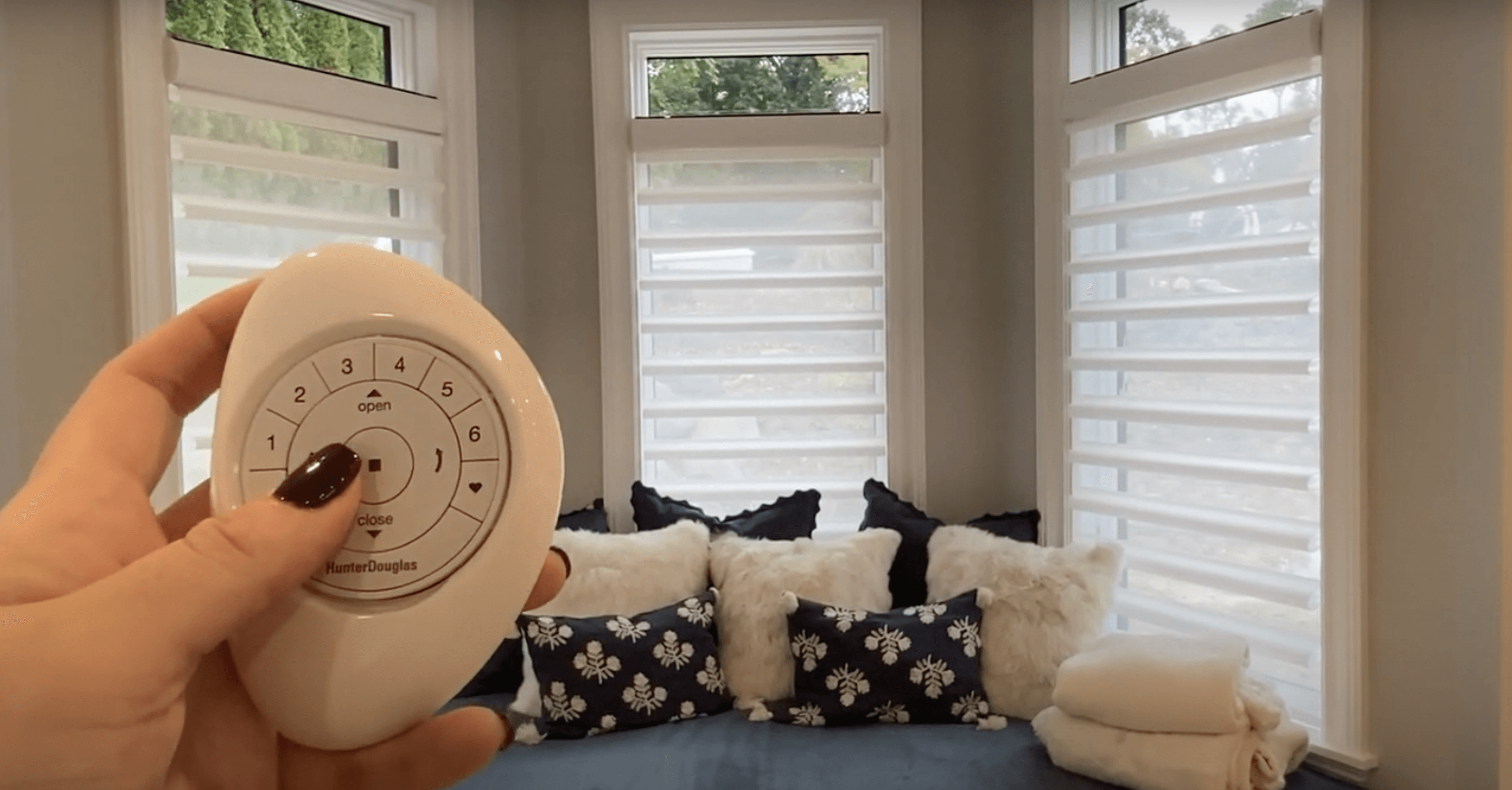 Hunter Douglas PowerView motorization platform