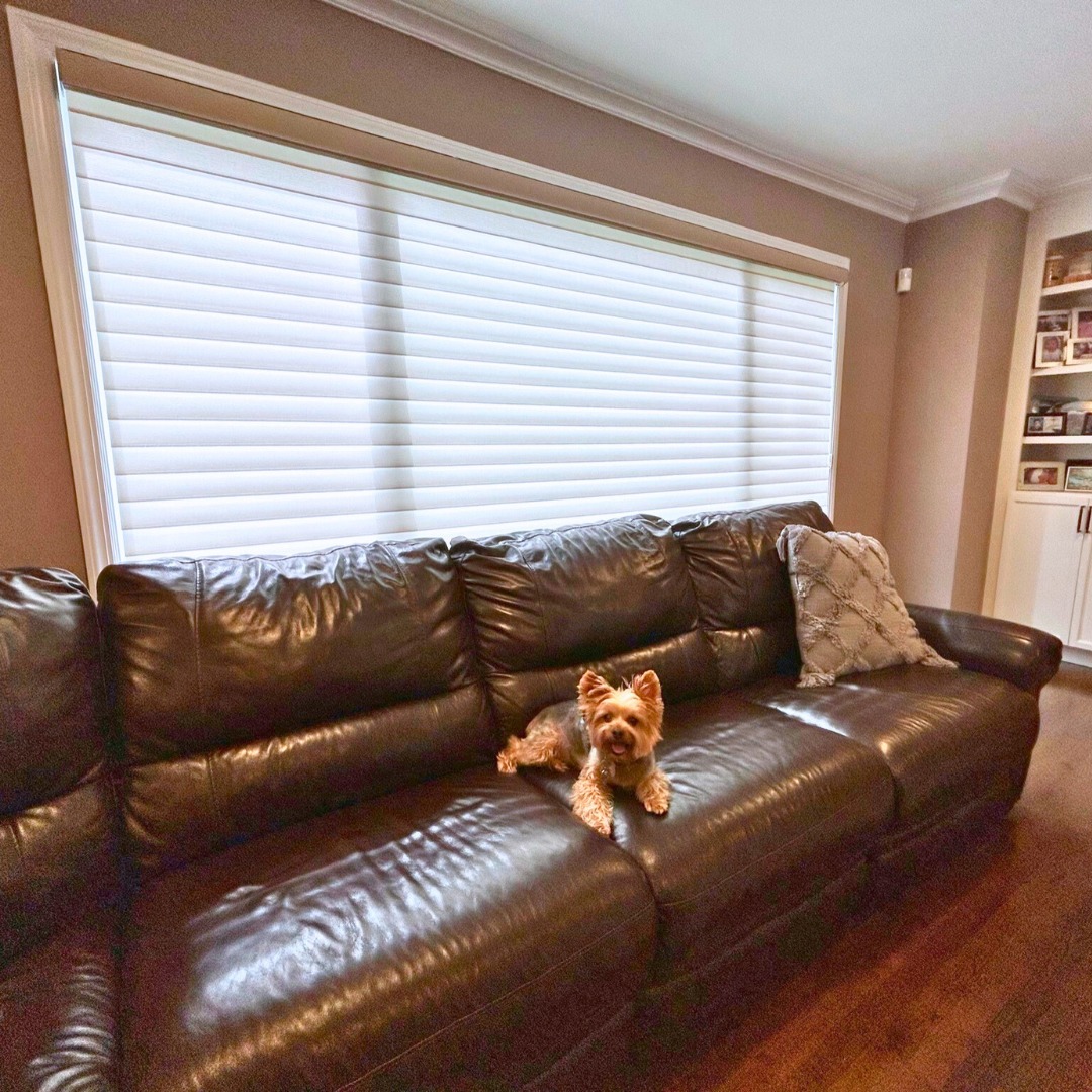 Living room with Hunter Douglas Silhouette shades softly filtering daylight above a dark leather sofa in an Albertson, NY home