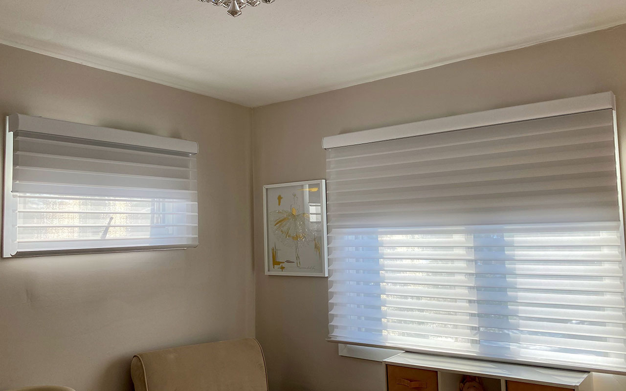 Duolite shades installed in a Long Island living room providing natural light and privacy control